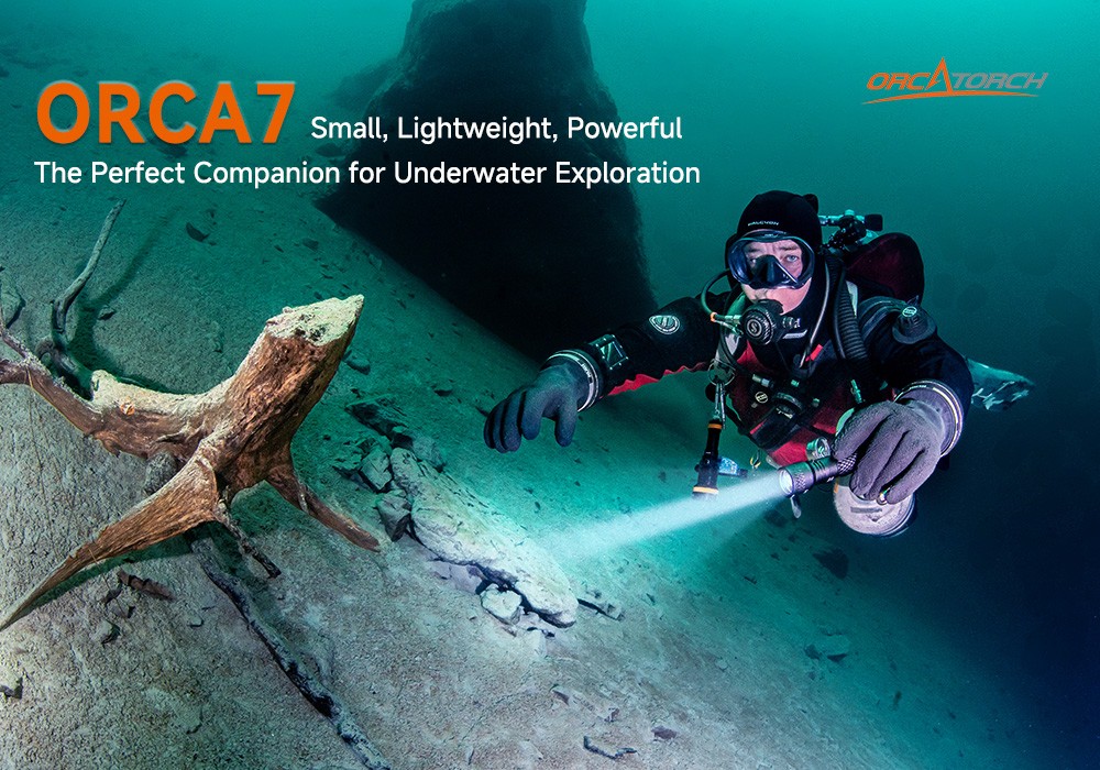 DivingExpress-Light-OrcaTorch-Orca7-P02