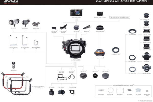 DE Water Sport Square