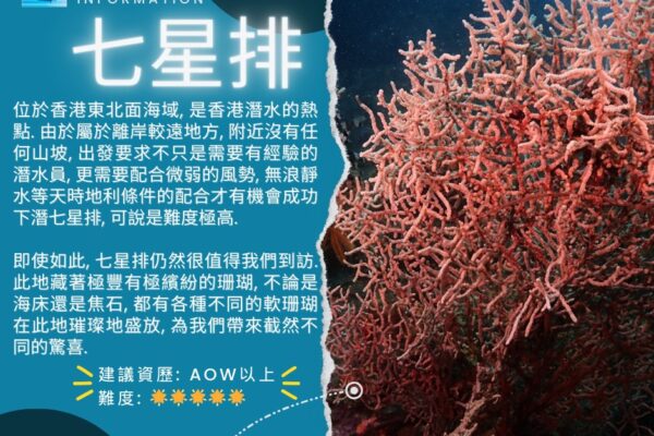 DE Water Sport Square