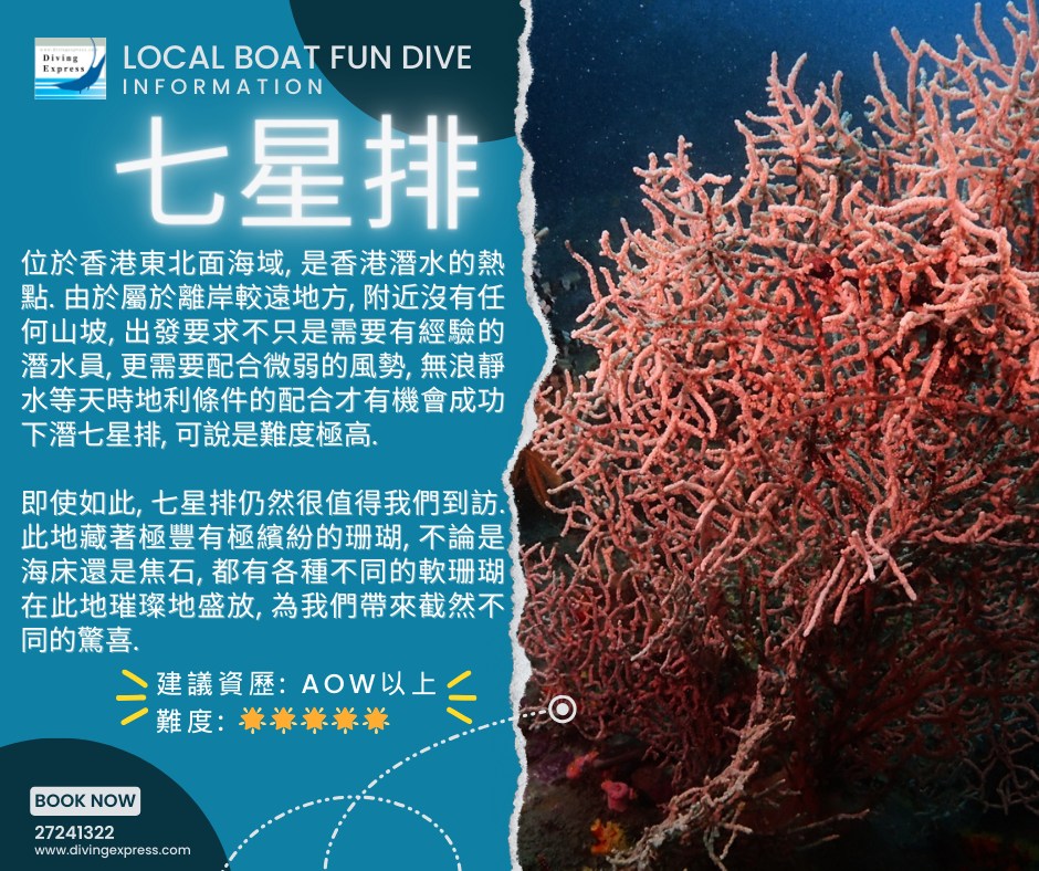 DE Water Sport Square