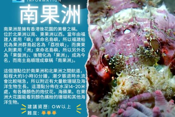 DE Water Sport Square