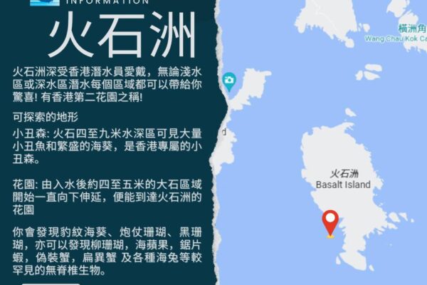 DE Water Sport Square