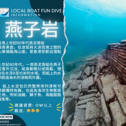 DE Water Sport Square