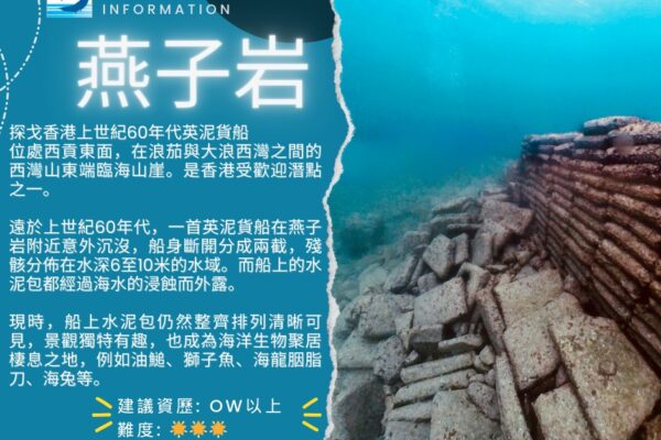 DE Water Sport Square