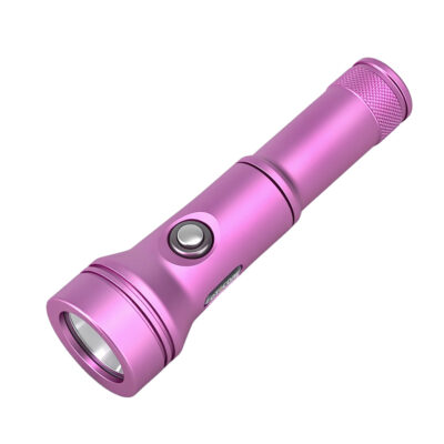 Fotocore D2 Dive Torch