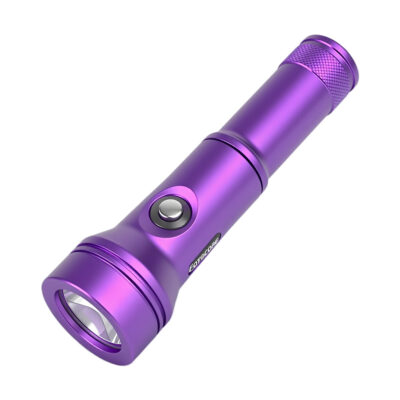 Fotocore D2 Dive Torch