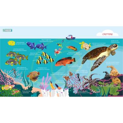 Oceanarium Marine Speices Identification Dry Towel 140 x 80cm