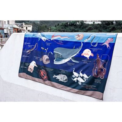 Oceanarium Marine Speices Identification Dry Towel 140 x 80cm