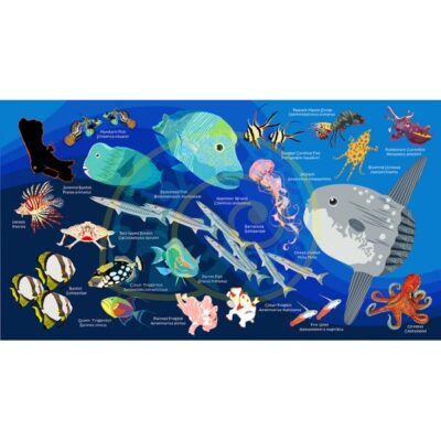 Oceanarium Marine Speices Identification Dry Towel 140 x 80cm