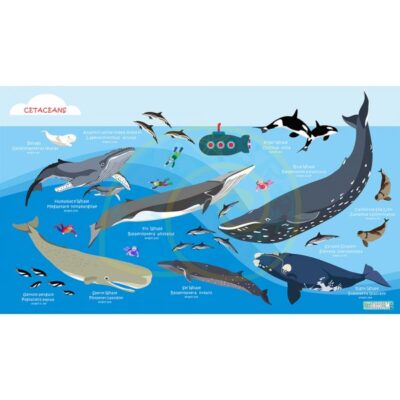 Oceanarium Marine Speices Identification Dry Towel 140 x 80cm