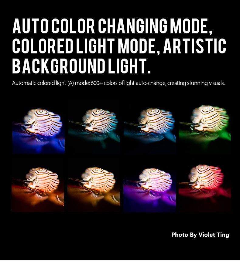 Weefine WF106 Smart Focus 5000V2 Lumen All-In-One Function Video Light