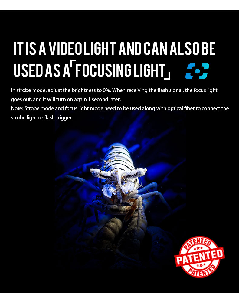 Weefine WF106 Smart Focus 5000V2 Lumen All-In-One Function Video Light