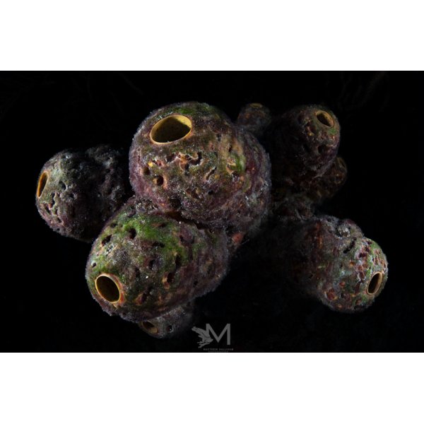 Kraken KS160 Round Flash Tube Strobe