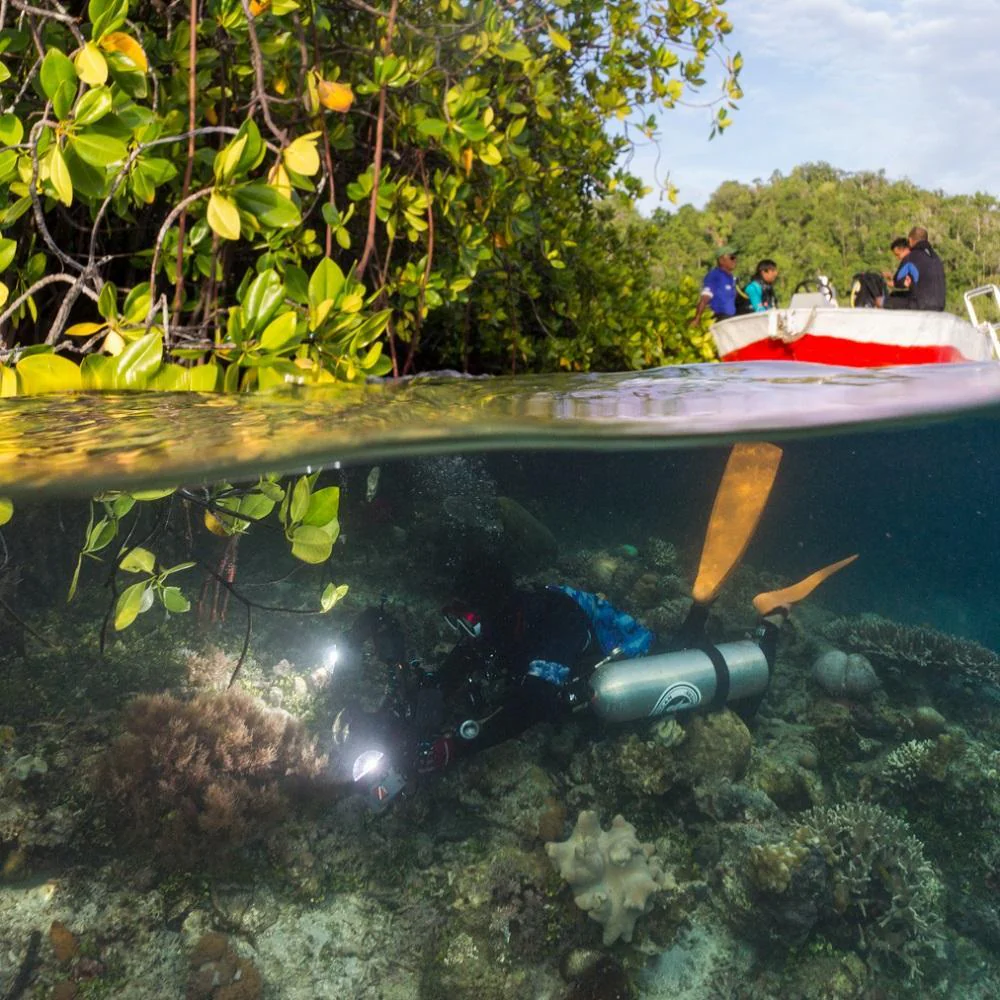 Akuana Sidemount BCD Hummingbird 2
