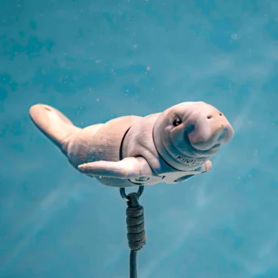 Kinno Scuba Floating Buddy 漂浮中的潛伴