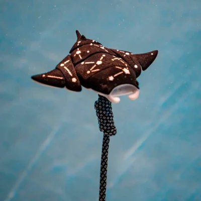 Kinno Scuba Floating Buddy 漂浮中的潛伴