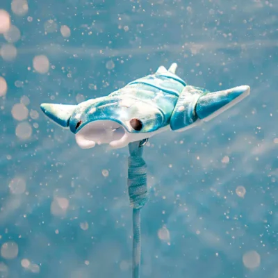 Kinno Scuba Floating Buddy 漂浮中的潛伴